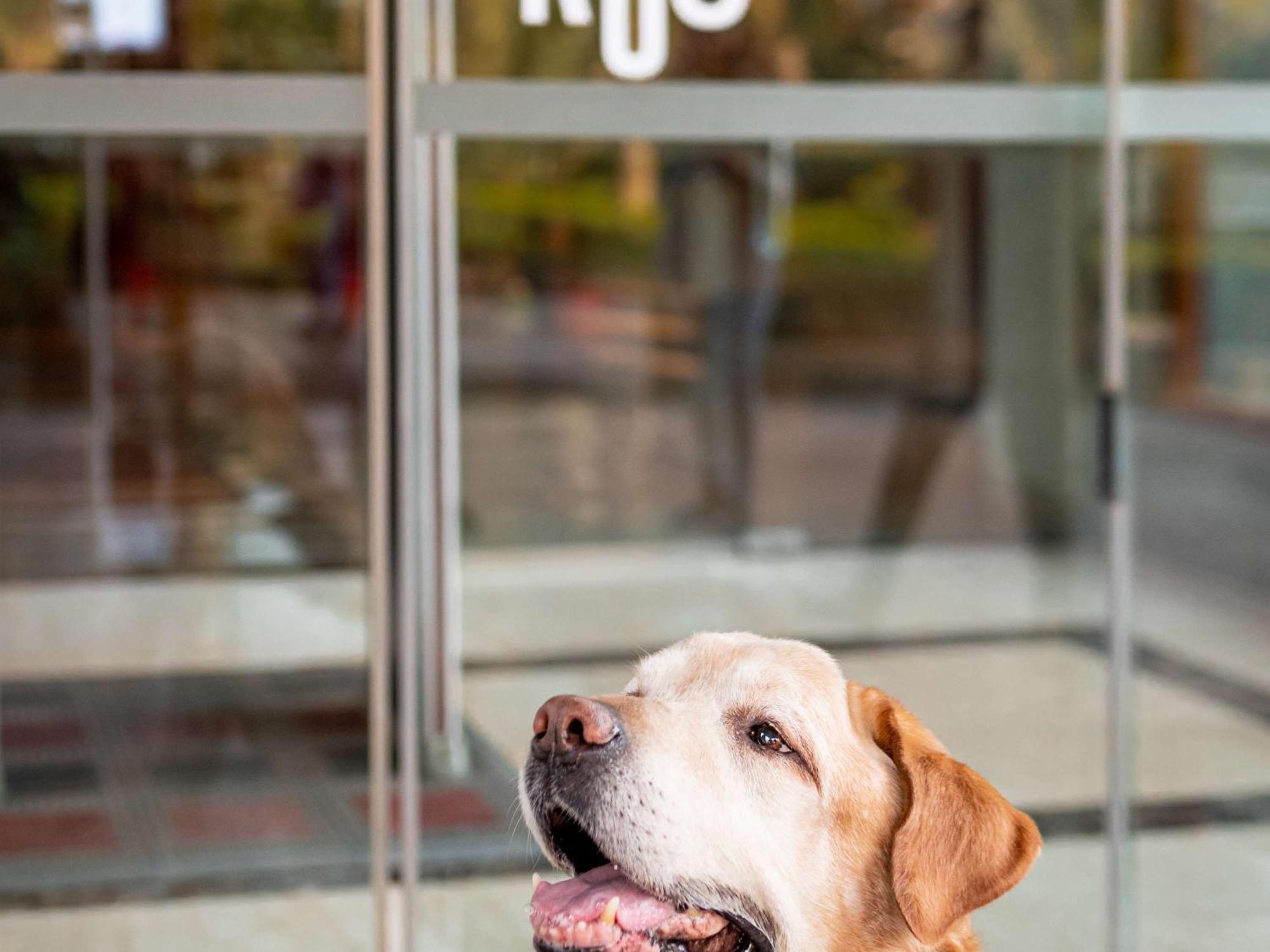 Ibis Heilbronn City Екстериор снимка